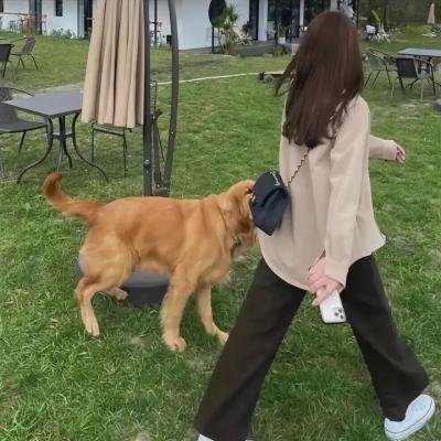 视点锋汇